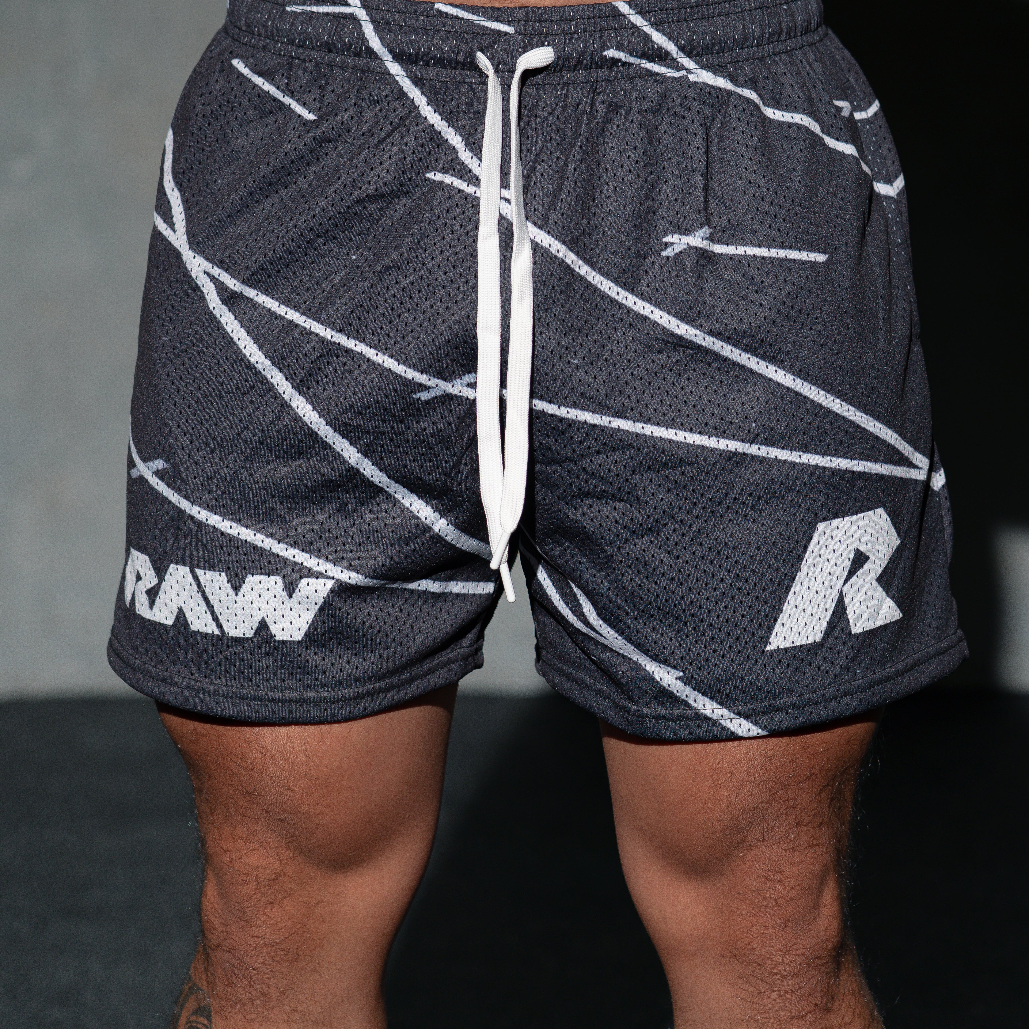 5in Mesh Shorts